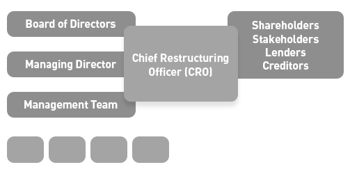 CRO role